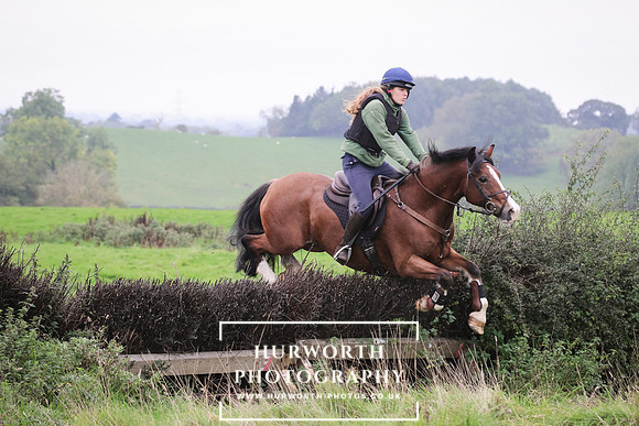 Hedge Hop 126