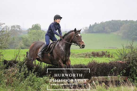 Hedge Hop 129