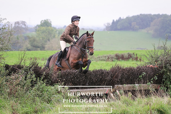 Hedge Hop 131