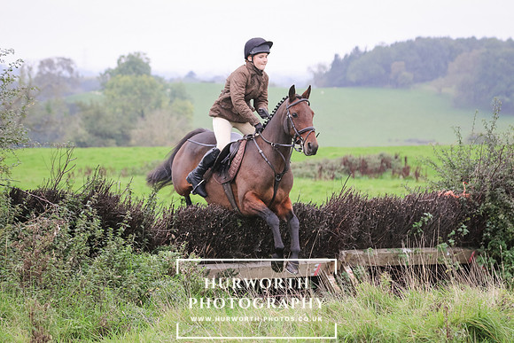 Hedge Hop 132