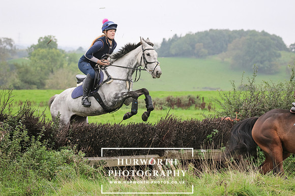 Hedge Hop 134