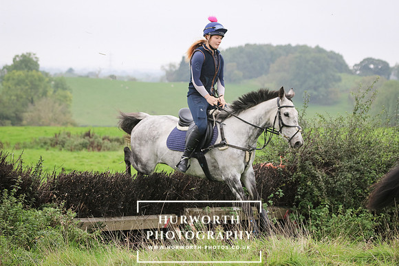 Hedge Hop 136