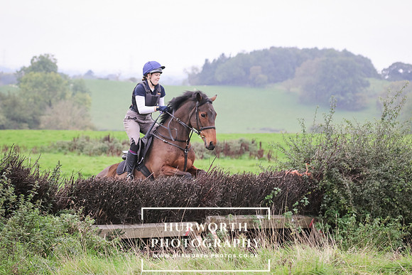 Hedge Hop 137