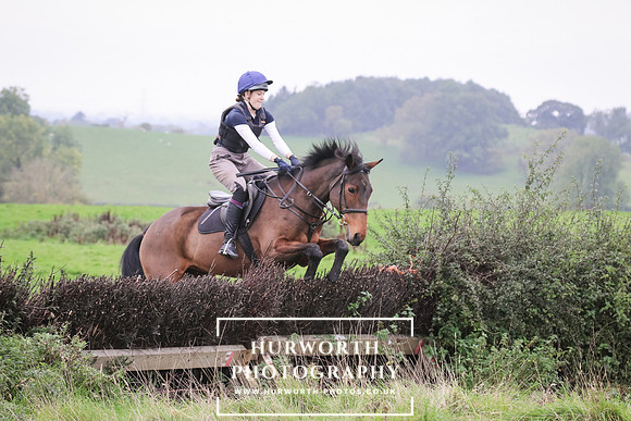 Hedge Hop 138