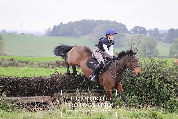Hedge Hop 140
