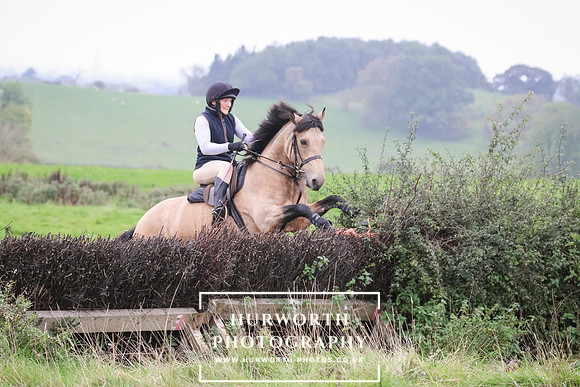 Hedge Hop 141