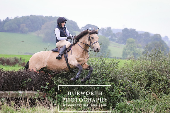 Hedge Hop 144