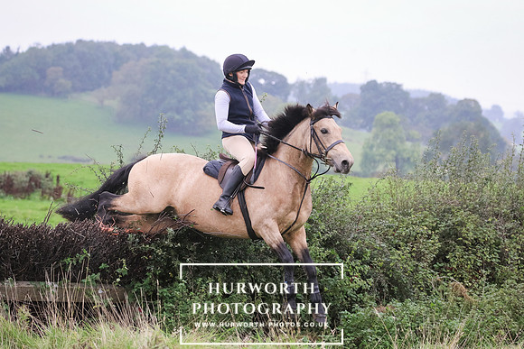Hedge Hop 145