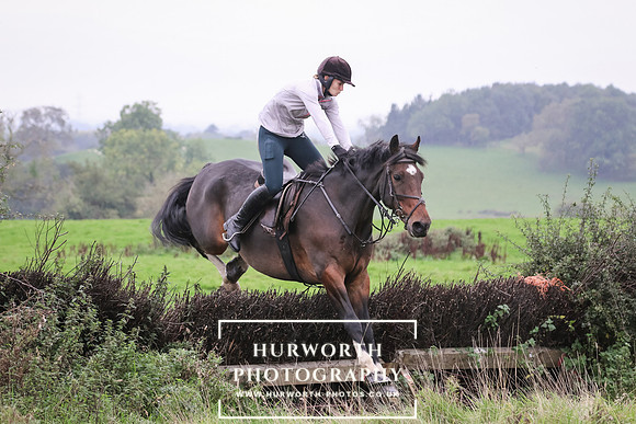 Hedge Hop 149