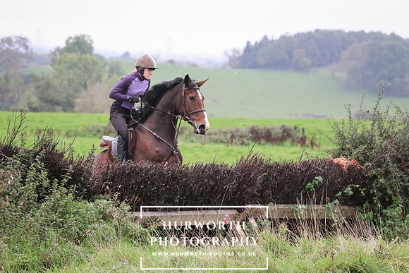 Hedge Hop 151