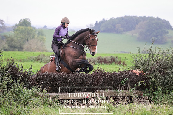 Hedge Hop 152