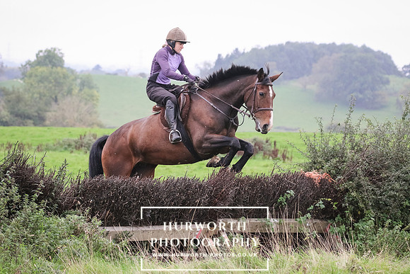 Hedge Hop 153