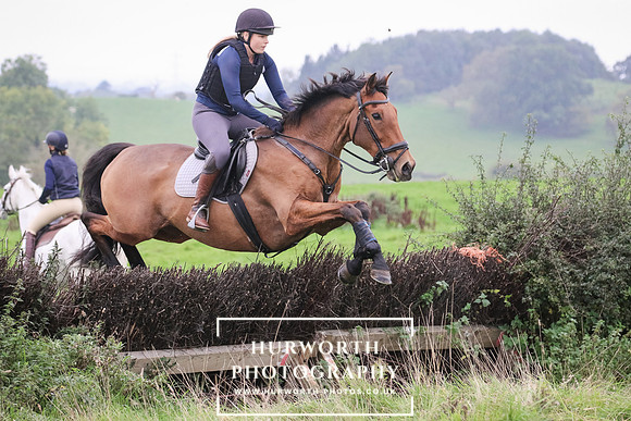 Hedge Hop 157