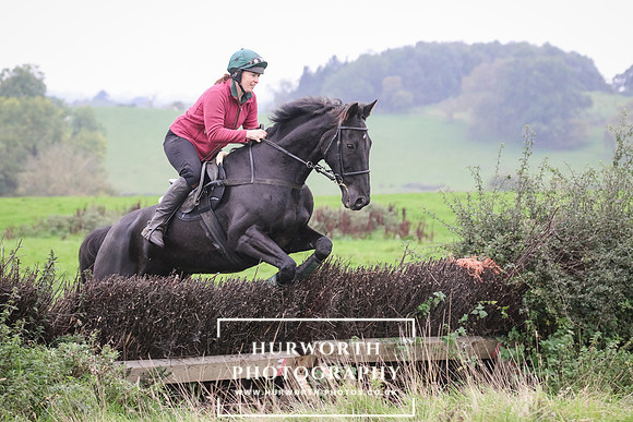 Hedge Hop 159