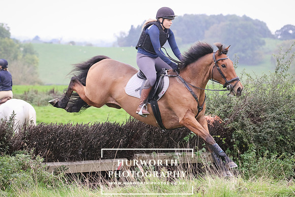 Hedge Hop 158