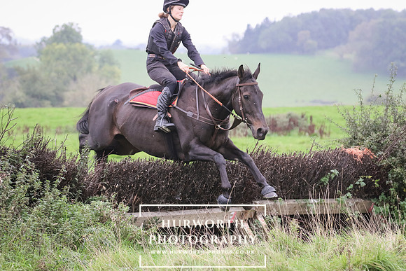 Hedge Hop 163