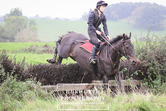 Hedge Hop 164