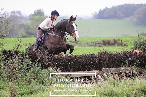 Hedge Hop 169
