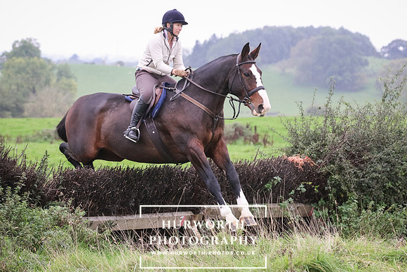 Hedge Hop 171