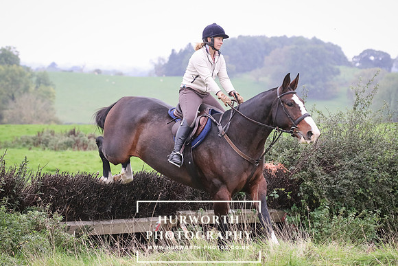 Hedge Hop 172