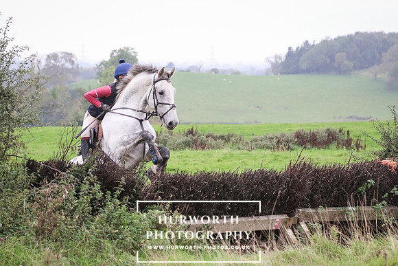Hedge Hop 173