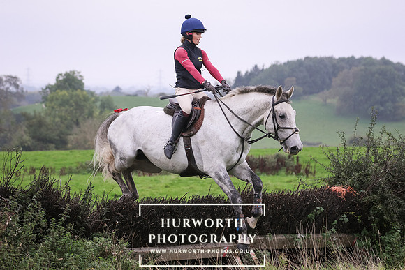 Hedge Hop 176