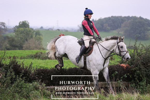 Hedge Hop 177
