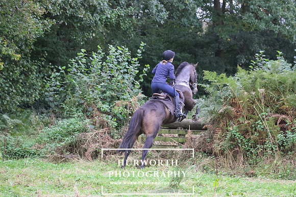 Hedge Hop 187