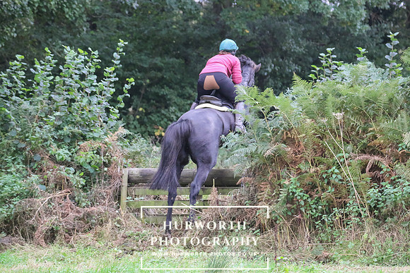 Hedge Hop 204