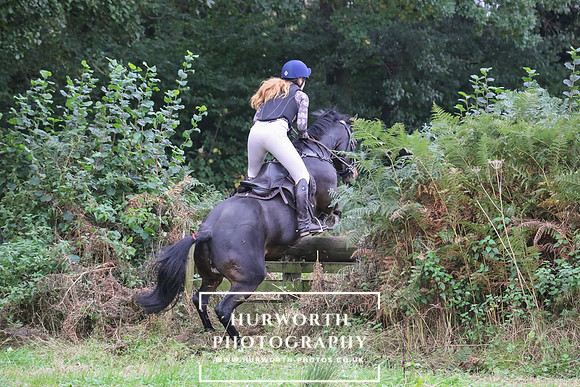 Hedge Hop 206