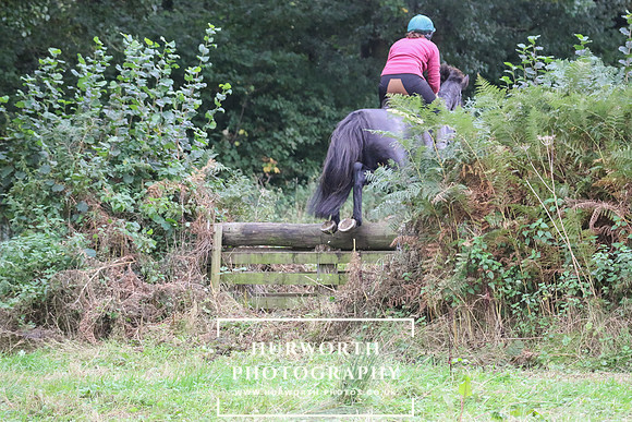 Hedge Hop 205