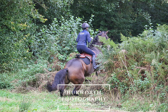 Hedge Hop 178
