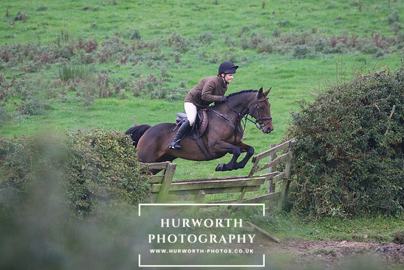 Hedge Hop 385