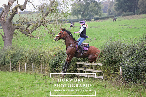 Hedge Hop 388