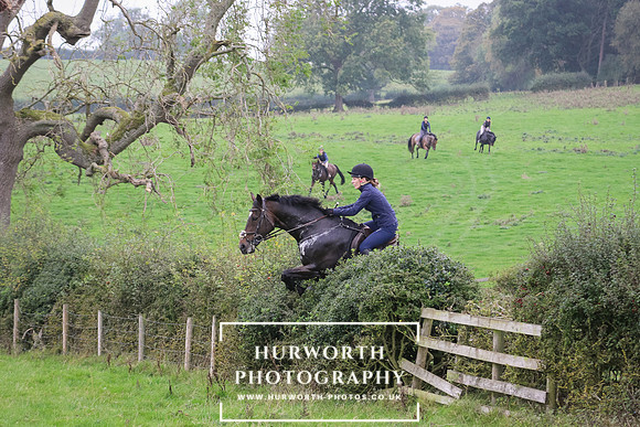 Hedge Hop 391