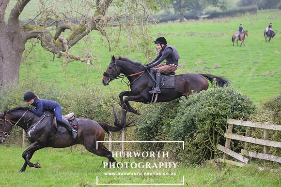 Hedge Hop 394