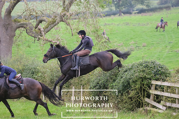 Hedge Hop 395