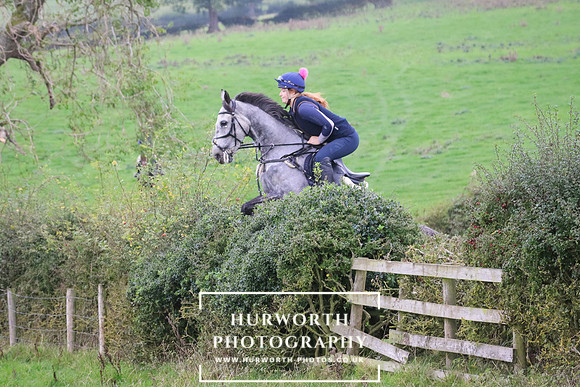 Hedge Hop 397