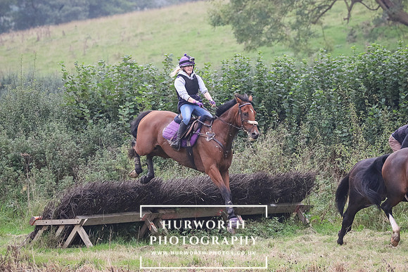 Hedge Hop 238
