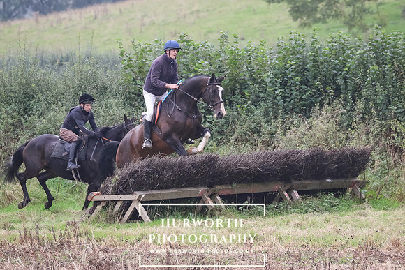 Hedge Hop 234