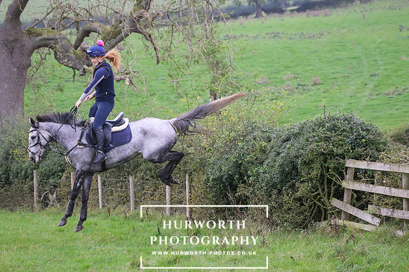 Hedge Hop 401