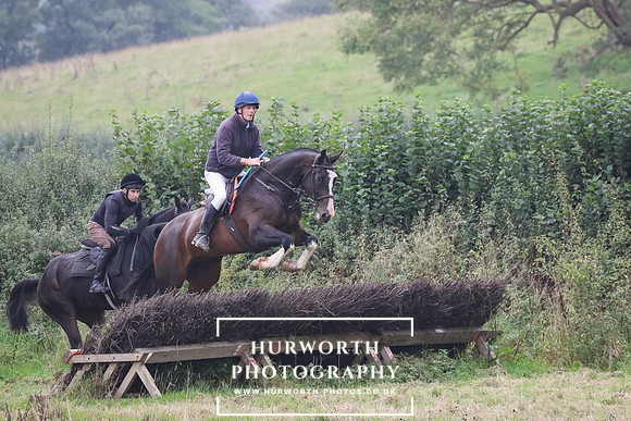 Hedge Hop 235