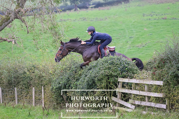 Hedge Hop 402