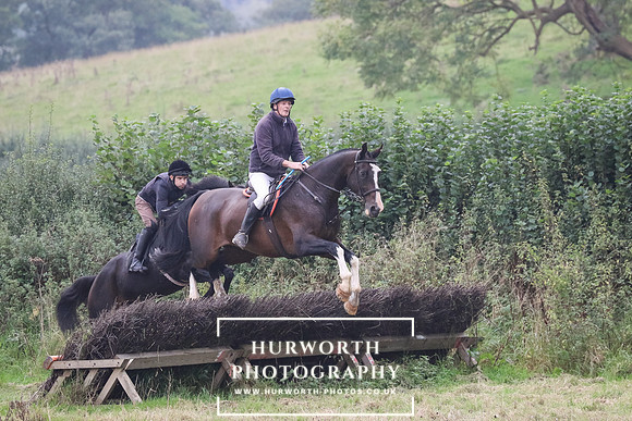 Hedge Hop 236