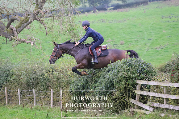 Hedge Hop 403