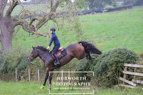 Hedge Hop 405