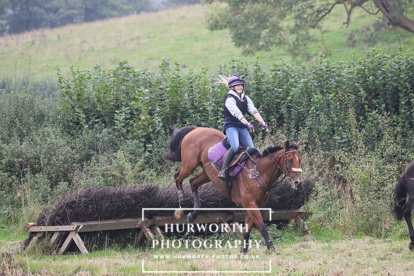 Hedge Hop 239