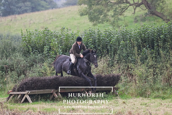 Hedge Hop 242