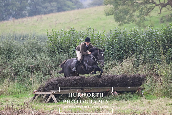 Hedge Hop 241