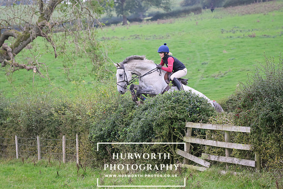 Hedge Hop 406